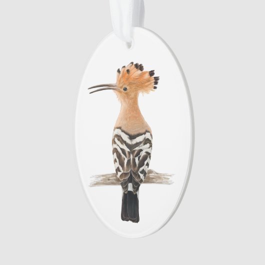 Hoopoe Bird Ornament (voorkant)