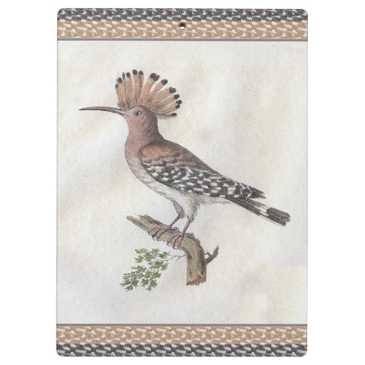  Hoopoe Engraving Klembord (Achterkant)