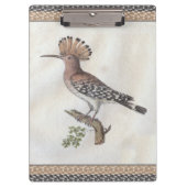 Hoopoe Engraving Klembord (Voorkant)