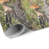 Hoopoe Feeding Nestling Cadeaupapier (Rol Hoek)
