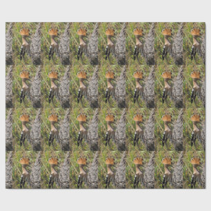 Hoopoe Feeding Nestling Cadeaupapier