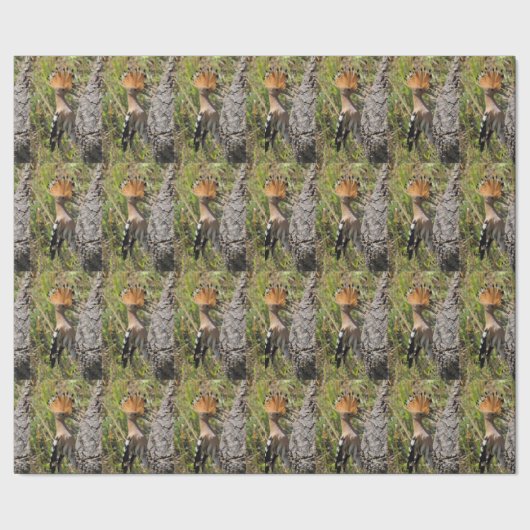 Hoopoe Feeding Nestling Cadeaupapier (Zoom)
