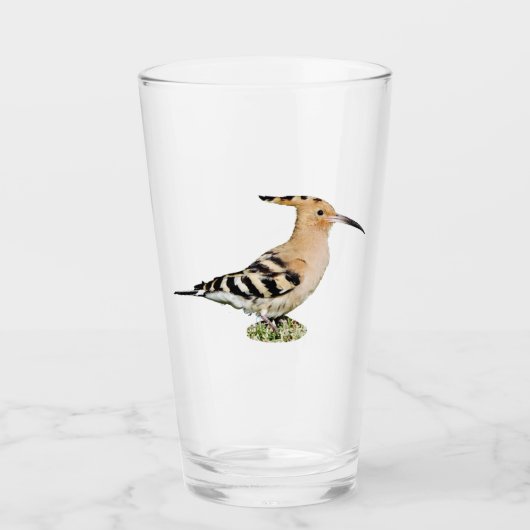Hoopoe Glass Tumbler (Voorkant)