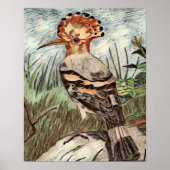 Hoopoe Poster (Voorkant)
