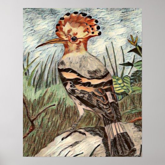 Hoopoe Poster (Voorkant)
