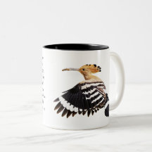 Hoopoe Vogelillustratie Vogelkunst Birdwatcher Gif