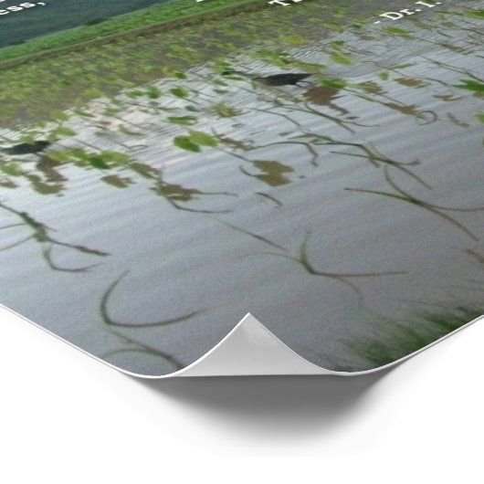 Ho'oponopono Ritual of Healing Poster (Hoek)