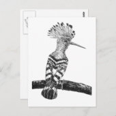 Hooptekening Briefkaart (Voorkant / Achterkant)