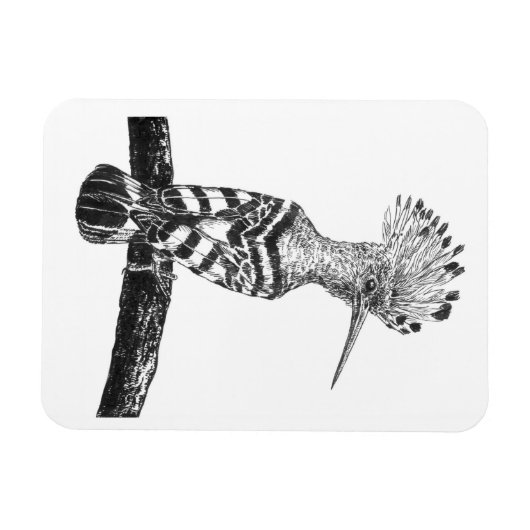 Hooptekening Magneet (Horizontaal)