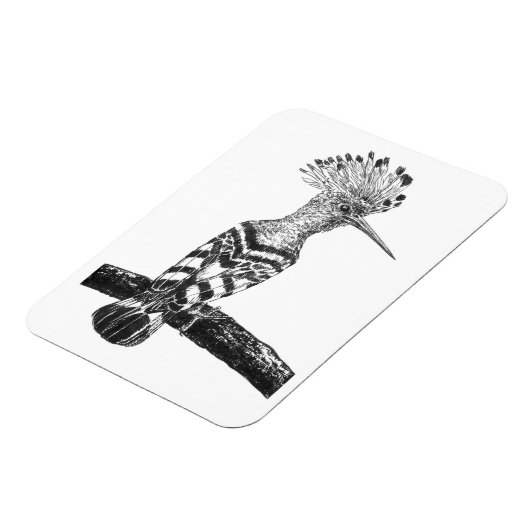 Hooptekening Magneet (Linkerzijde)