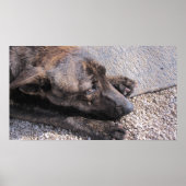 Hoopvol voor een eeuwig huis poster (Voorkant)