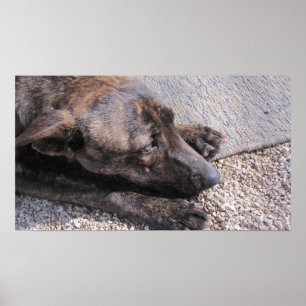 Hoopvol voor een eeuwig huis poster