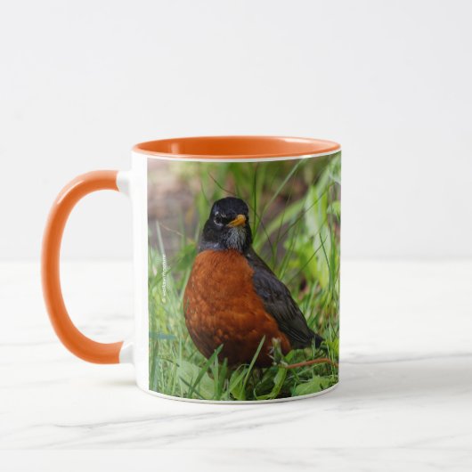 Hoopvolle Amerikaanse Robin Songbird in de gras Mok (Links)