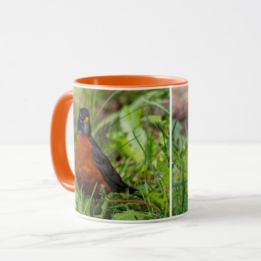 Hoopvolle Amerikaanse Robin Songbird in de gras Mok (Voorkant links)