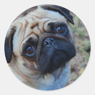 hoopvolle koe ronde sticker