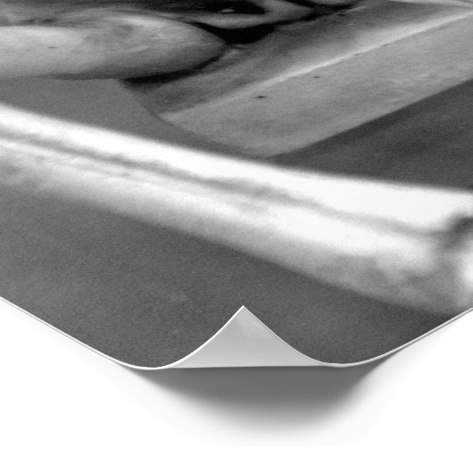 Hoor geen aambeeld, spreek geen aambeeld, zie geen poster (Hoek)