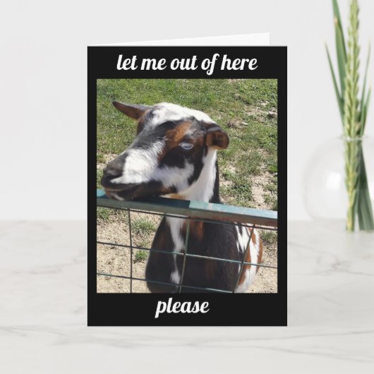 HOOR JE "ONDER DE WEERDER" KRIJG EEN GOEDE KAART (Voorkant)