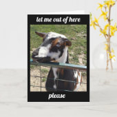 HOOR JE "ONDER DE WEERDER" KRIJG EEN GOEDE KAART (Gele Bloem)