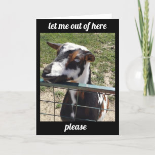 HOOR JE "ONDER DE WEERDER" KRIJG EEN GOEDE KAART