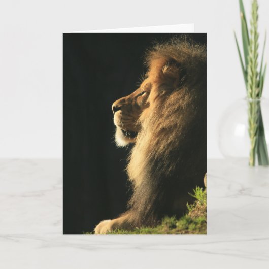 Hoor komt de zon kaart (Voorkant)