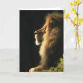 Hoor komt de zon kaart (Gele Bloem)