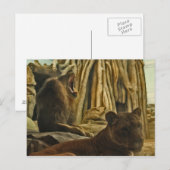 Hoor me Roar! Briefkaart (Voorkant / Achterkant)