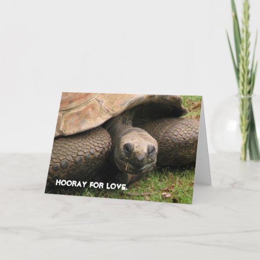 Hooray voor liefde feestdagen kaart (Voorkant)