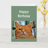 Hoorde dat het je 30-jarig jubileum was, opnieuw F Kaart (Gele Bloem)