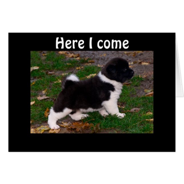 HOORDE DAT JE EEN BOO LEG HEBT (Voorkant Horizontaal)