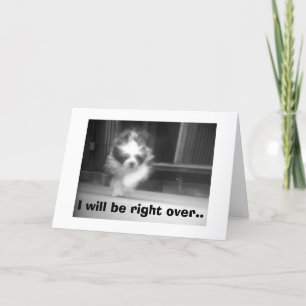 HOORDE "JIJ" MAAKTE DE ONDEUGENDE LIJST = BE RIGHT FEESTDAGEN KAART