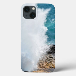 Hoorn in Kauai, Hawaii Case-Mate iPhone Case