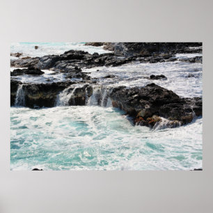 Hoorn in Kauai, Hawaii Poster