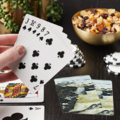 Hoorn, Kaap Perpetua, oregonkusten Pokerkaarten (Insitu)