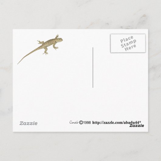 hoornkop briefkaart (Achterkant)