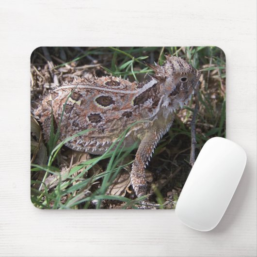 hoornkop muismat (Met muis)