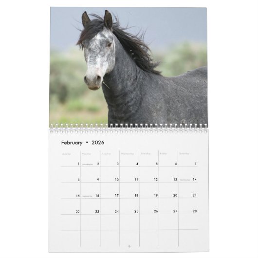 Hoorsen Kalender (Feb 2026)