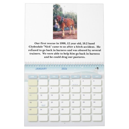 HOORZESISTERS CALENDAR 2010 KALENDER (Jan 2026)