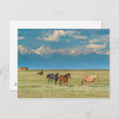 Hoorzittingen in Hayfield Briefkaart (Voorkant / Achterkant)