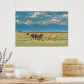 Hoorzittingen in Hayfield Poster (Keuken)