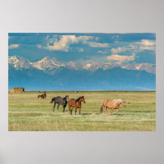 Hoorzittingen in Hayfield Poster (Voorkant)