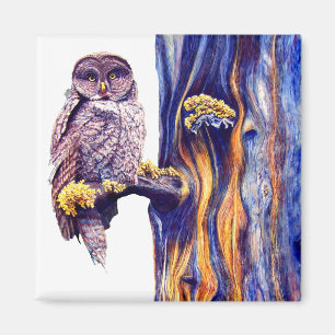 Hoo's Kijk in Magnet