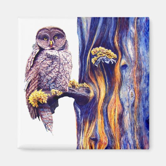 Hoo's Look'n Magnet (Voorkant)