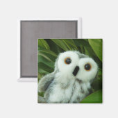 Hoot Hoot! Magneet (Voorkant / Achterkant)