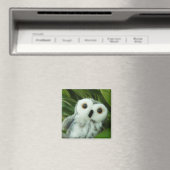 Hoot Hoot! Magneet (Insitu (Vaatwasser))