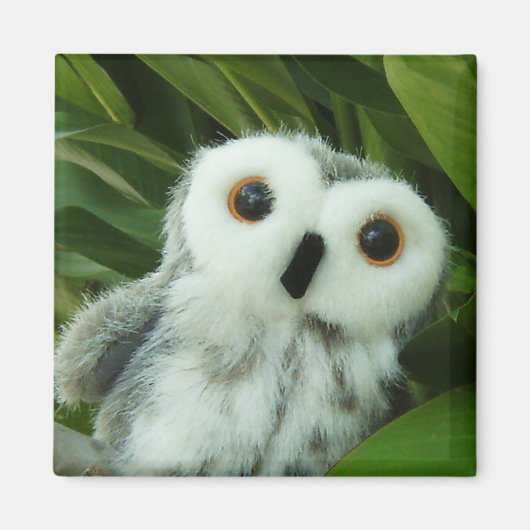 Hoot Hoot! Magneet (Voorkant)