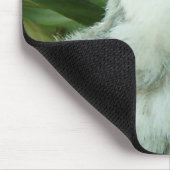 Hoot Hoot! Muismat (Hoek)