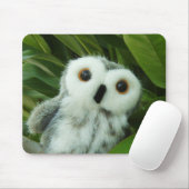 Hoot Hoot! Muismat (Met muis)