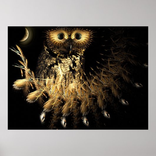 Hootie Owls Nest Poster (Voorkant)