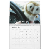 Hootin Annie's Book Kalender (Feb 2027)
