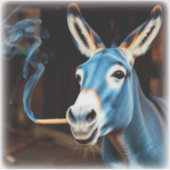 HOOTING DONKEY STICKER (Voorkant)